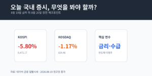 2026년 8월 19일 코스피와 코스닥 하락률 및 8월 20일 장전 체크포인트